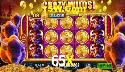 65X,65X Bet